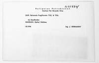 Image Associated With the Occurrence